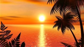 Tropical Sunset