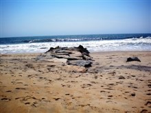 Rocks and waves