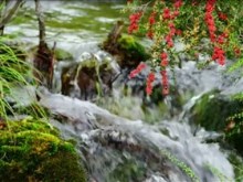 little waterfall