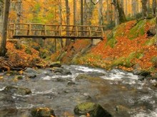bridge over troubled waters