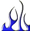 B-Type