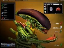 Veggies are good for you...