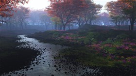 Nature's Colors