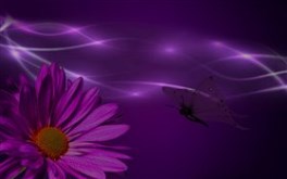 Purple-night