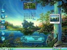 Peacock Dreams