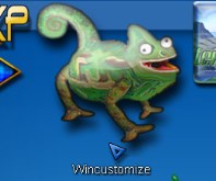 Wincustomize (animated)