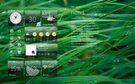 Grass