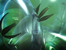 Organic World