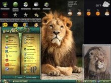 king2