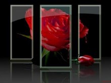 Lonely Rose