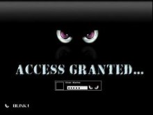 Access Granted