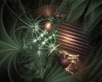 Jungle