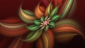 Christmas Flower 2009