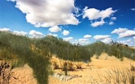 Dunes