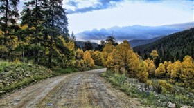 Fall Road