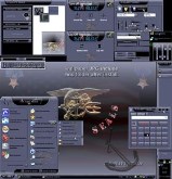 My Army U.S. Navy Seals