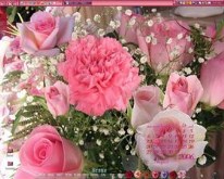 Blush Roses