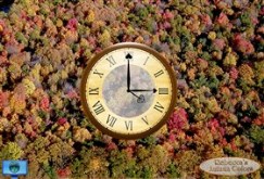 Rebecca's Autumn Colors